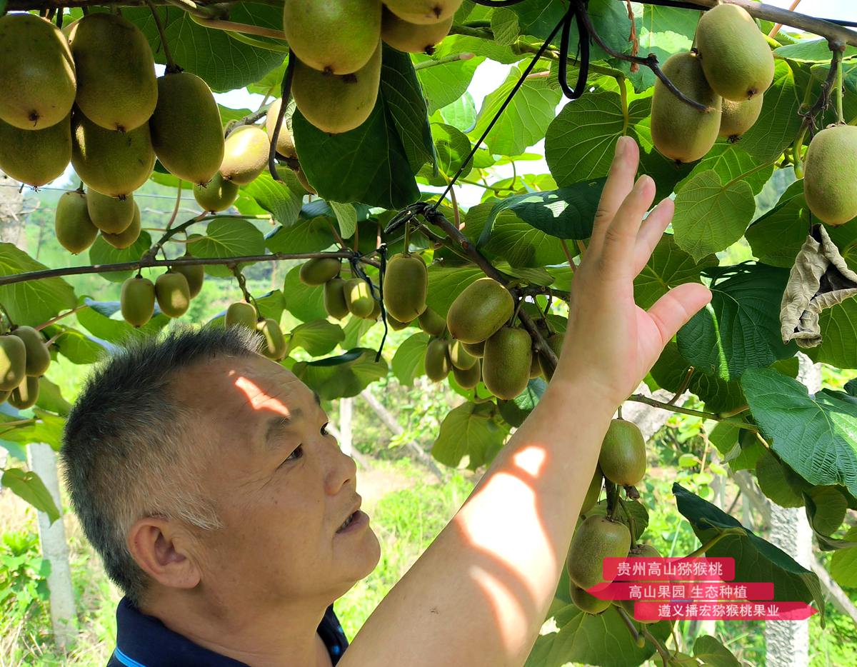 helping growers achieve their ultimate pollination