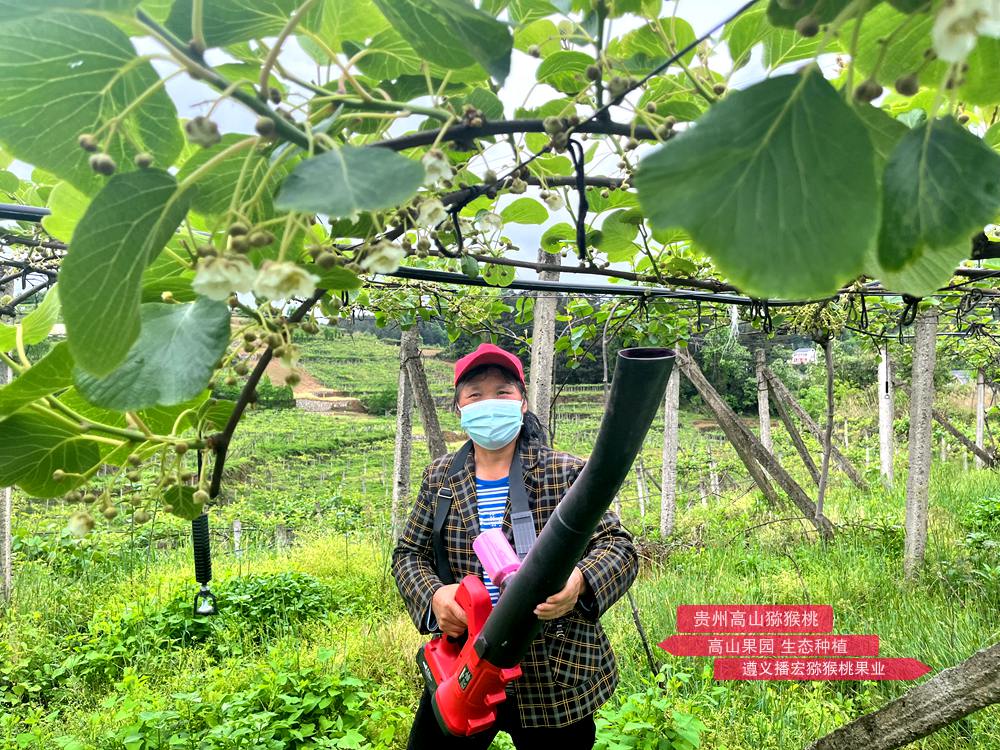 大型獼猴桃電動鼓風(fēng)授粉機(jī)