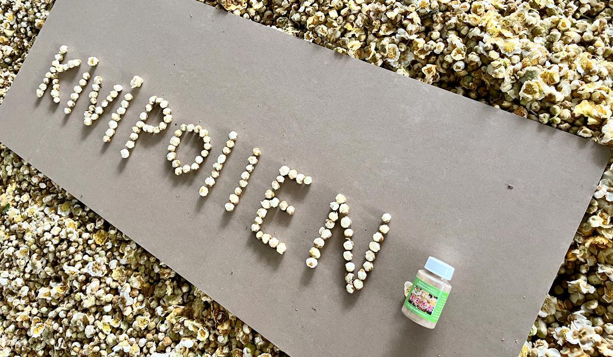 Kiwi pollen processing site