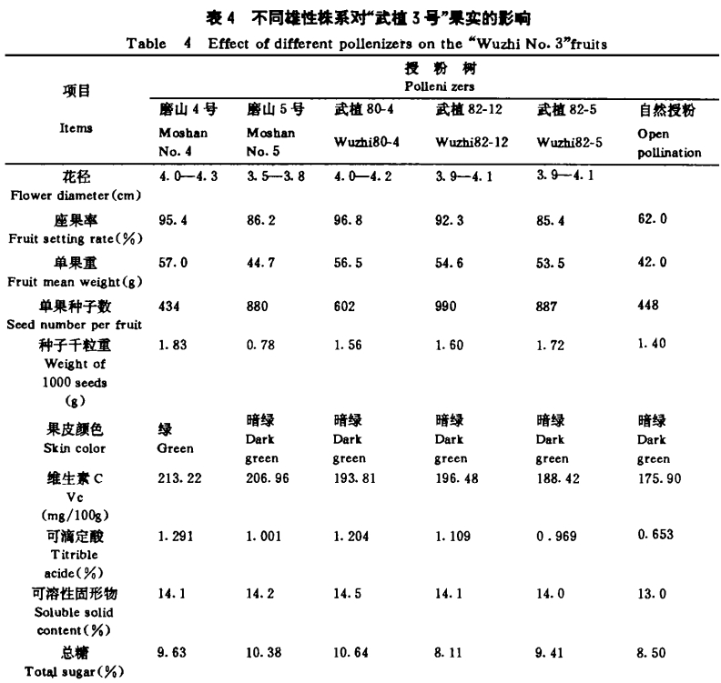 磨山4號(hào)獼猴桃