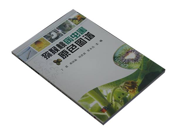 四川農(nóng)業(yè)大學龔國淑