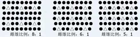 獼猴桃雌株雄株